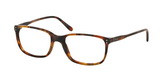 Polo Glasses - SUPERIOR-STYLES  - 7